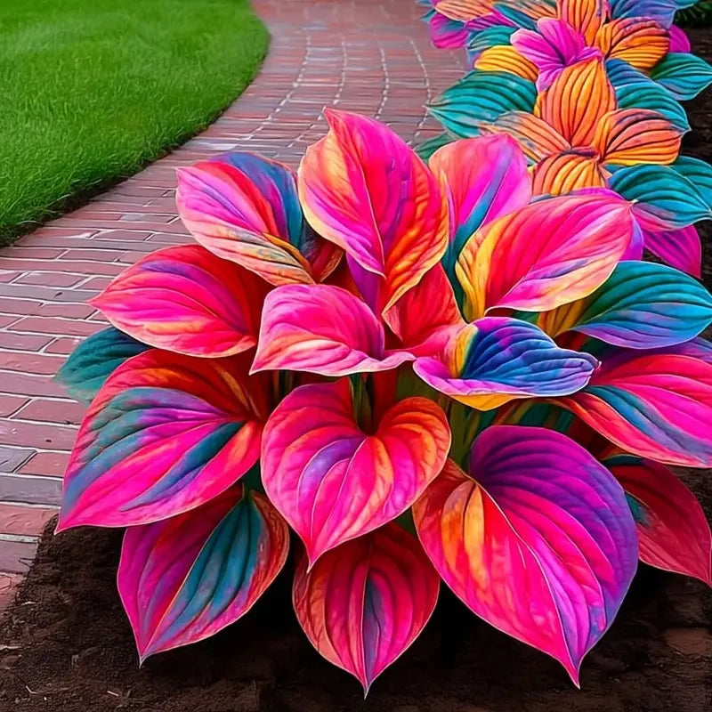 /69ce8f1af7ee3400096879c1/2026/04/14/product-img-69ddede4f707c0639afa460f.png
